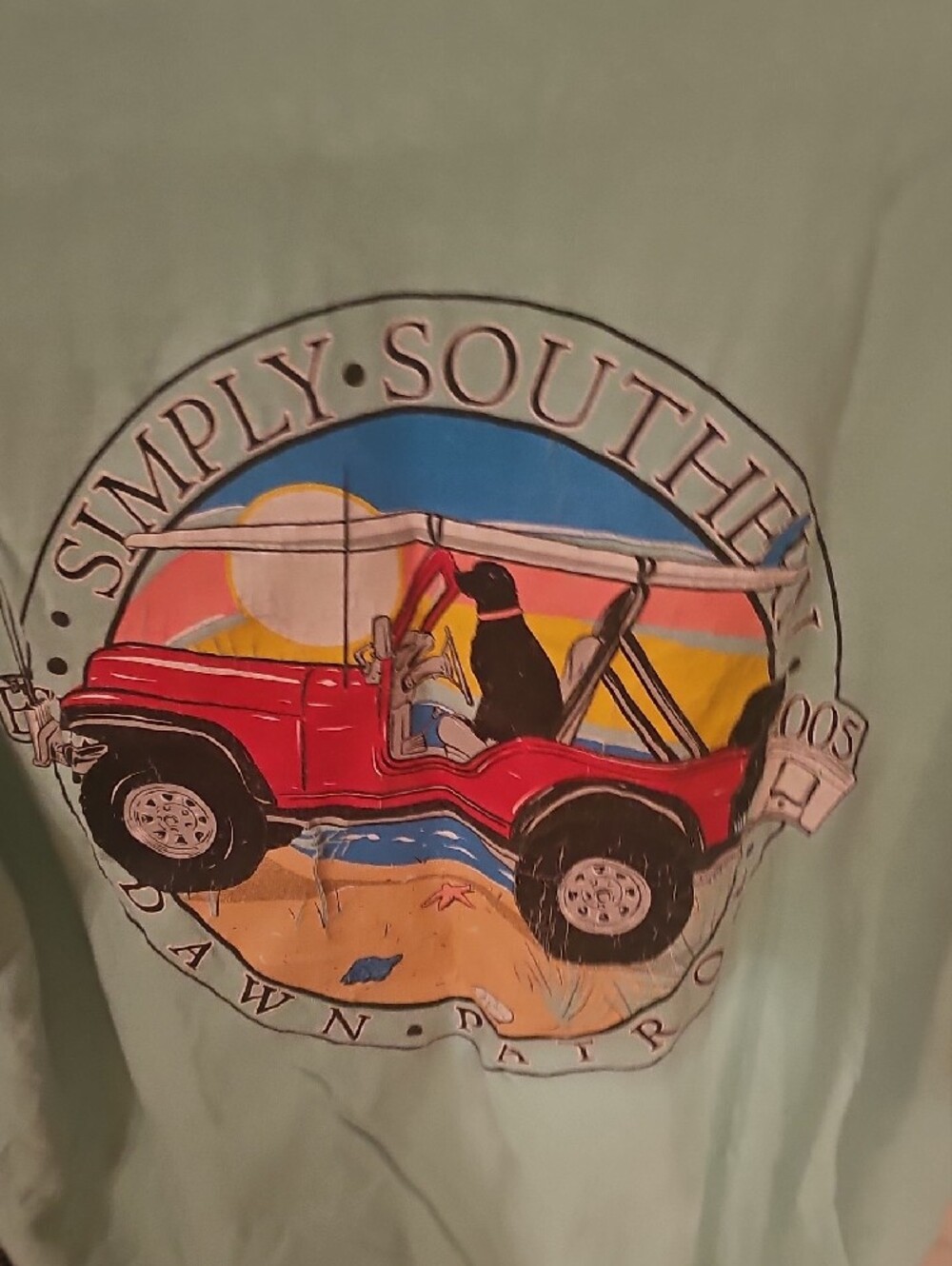 Simply Southern Men's Short-Sleeve Tee in Mint Blue  Callouts  A Couple Stains - Picture 4 of 7